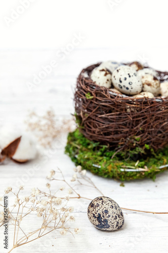Easter decoration with egg in nest cup and cotton on white wooden background. Easter concept. Flat lay top view copy space. Spring greeting card