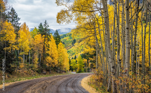 Autumn colors on Camp Bird Road out of Ouray  Colorado