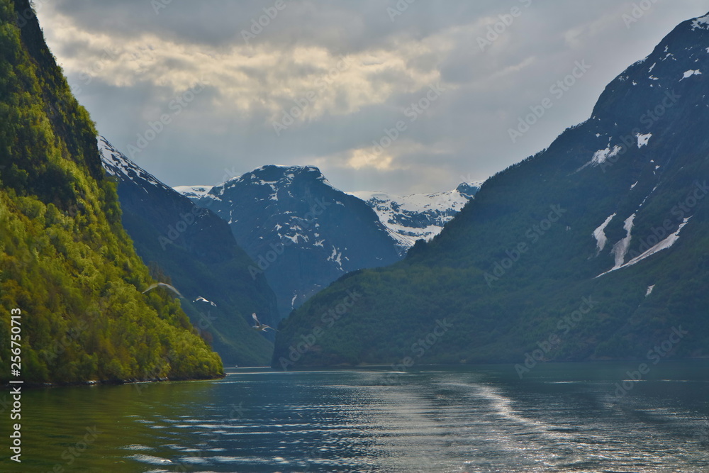Colours of a Norwegian fjord in the afternoon light