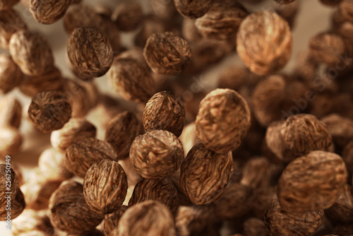 walnuts background 3d render