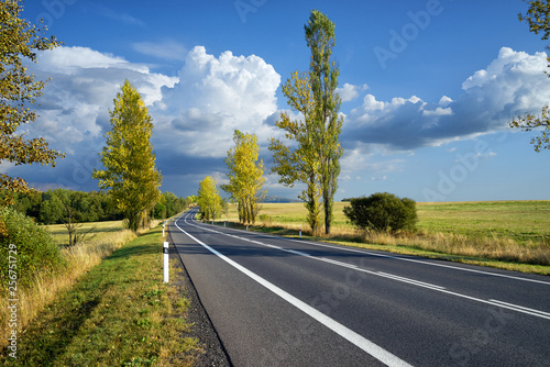 Obraz na płótnie Empty asphalt road between line of trees in autumn landscape w salonie