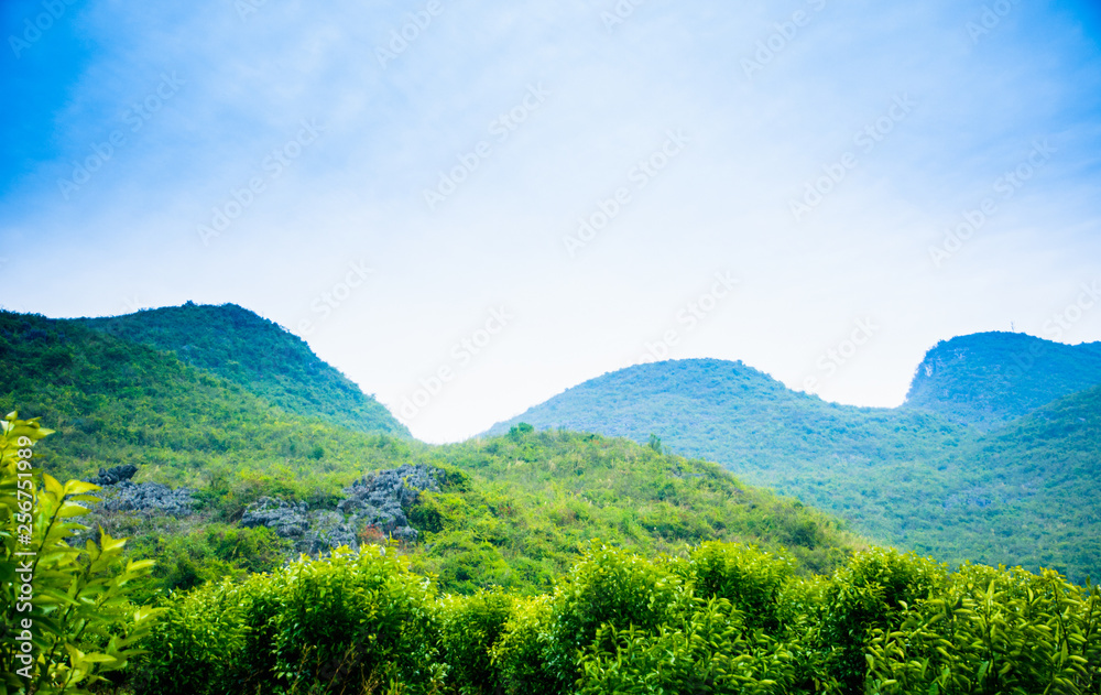 Obraz premium Landscape of the mountains and countryside 