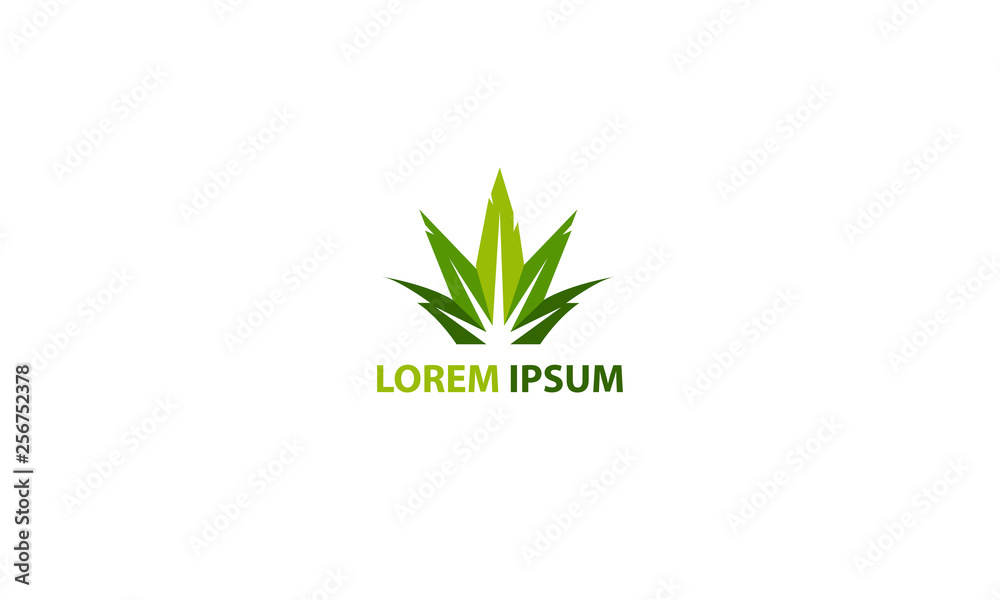 Healthcare leaf logo