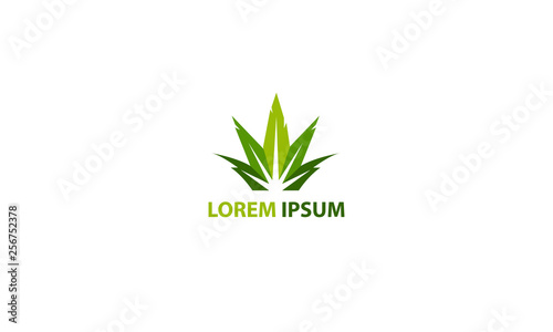 Healthcare leaf logo