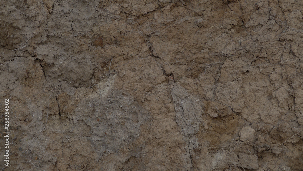 soil background soil background