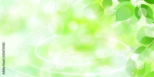 新緑　葉　緑　背景 