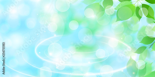 新緑　葉　緑　背景 