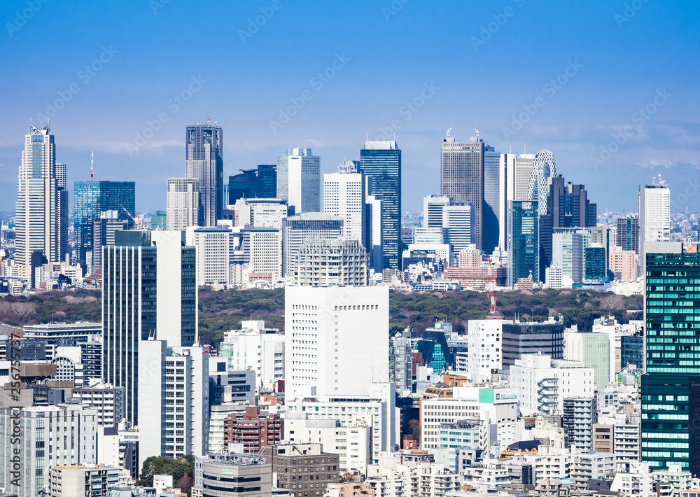 東京　新宿副都心周辺