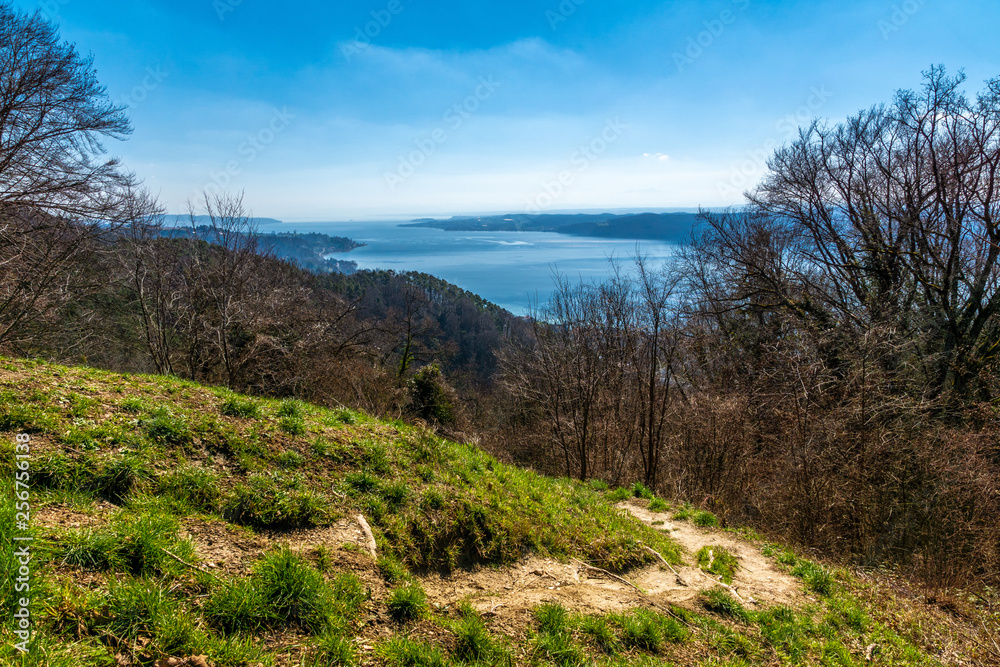 Ferien am schönen Bodensee Panorama Blick Haldenhof Ferien am schönen Bodensee Panorama Blick Haldenhof