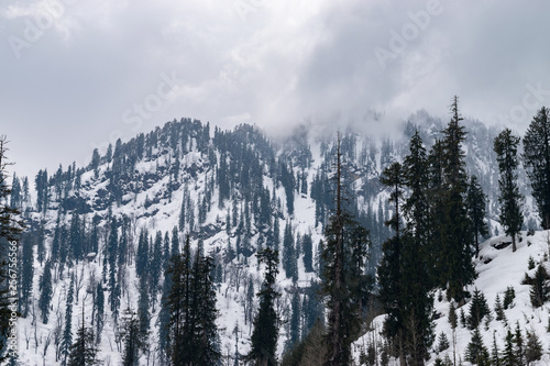 Winter Wonderland In Himachal Pradesh