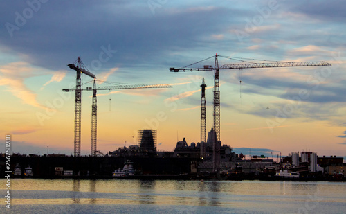 cranes at sunset