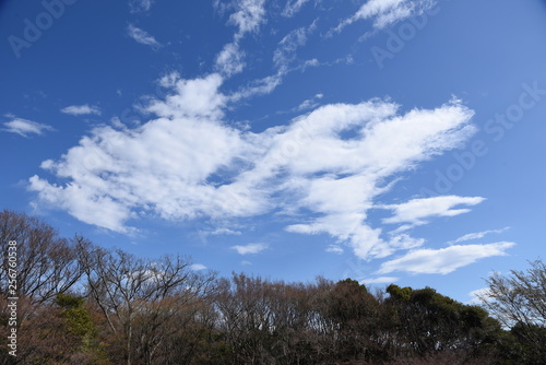 The sight of the blue sky and white clouds.