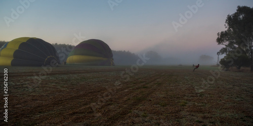 Hot Air Balloon Festival, Milawa, Victoria, Australia photo