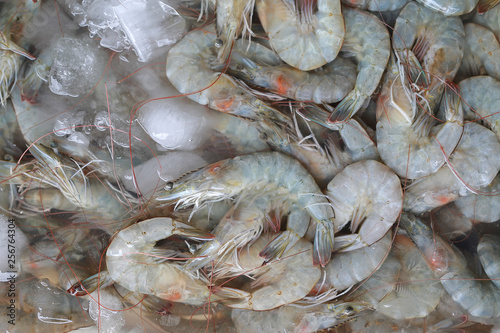 Fresh Shrimps on ice at seafood market, Thailand.