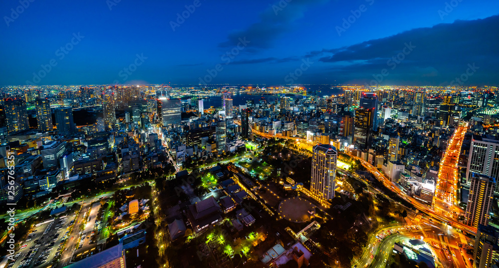 Fototapeta premium city skyline aerial night view in Tokyo, Japan