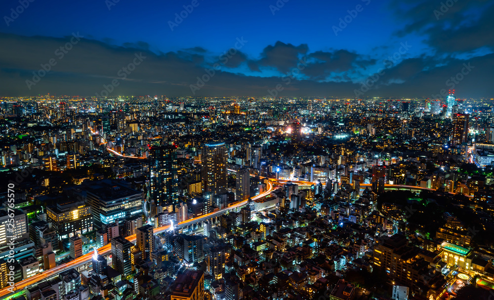 Fototapeta premium city skyline aerial night view in Tokyo, Japan