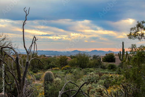 North Scottsdale landscape in a warm spring sunset photo