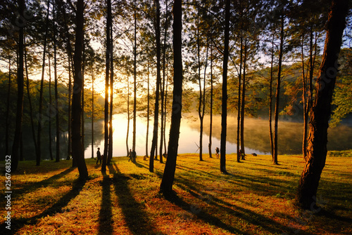 Beams of Light shine through the trees in forestat at the morning ,Silhouette people stand to relax to see sunrise. photo