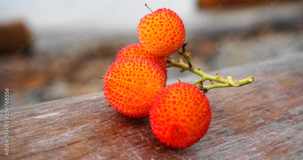 Arbutus unedo fruits on wood background close up. Strawberry tree.