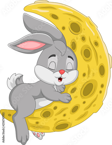 Cartoon rabbit sleeping on the moon