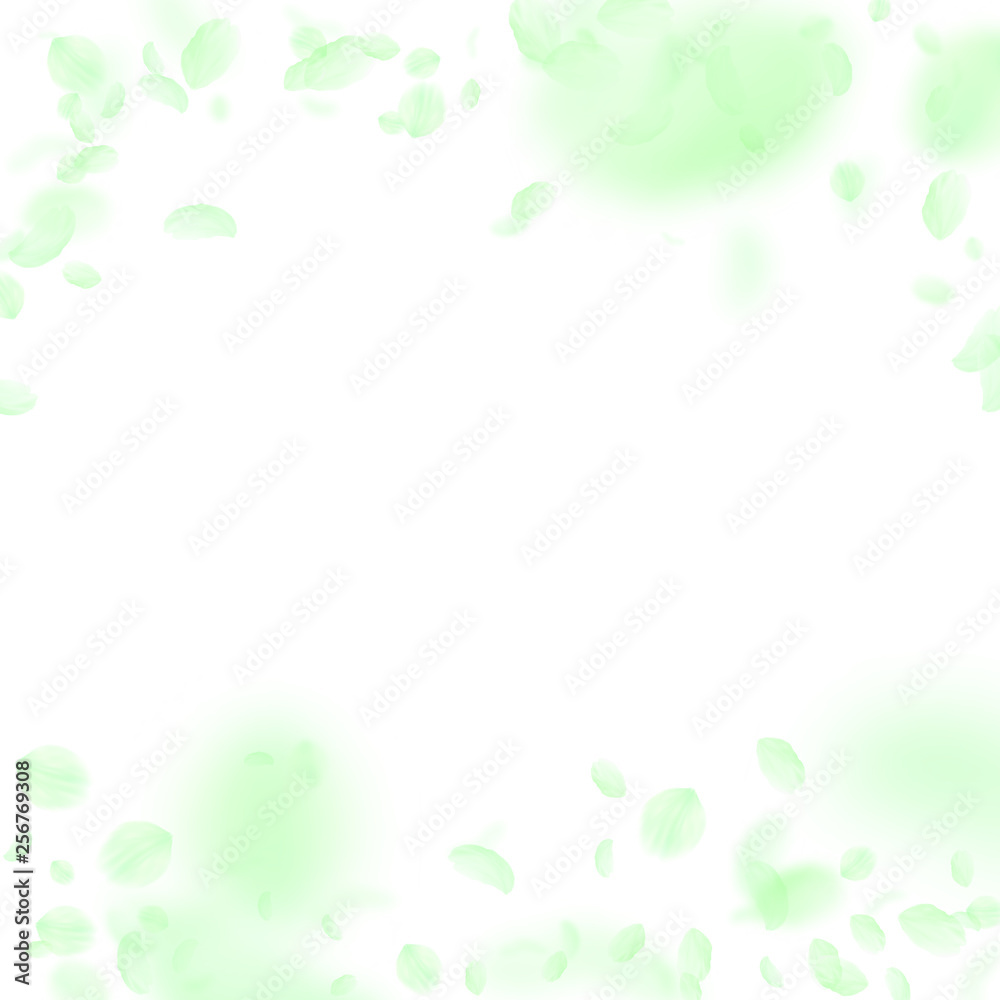 Green flower petals falling down. Juicy romantic f Green flower petals falling down. Juicy romantic f