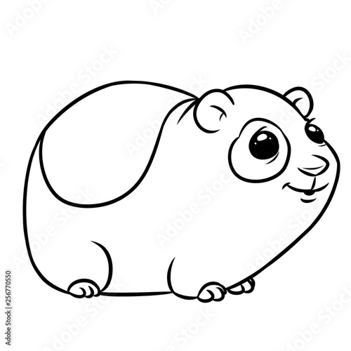 Guinea pig animal character coloring page cartoon illustration isolated image