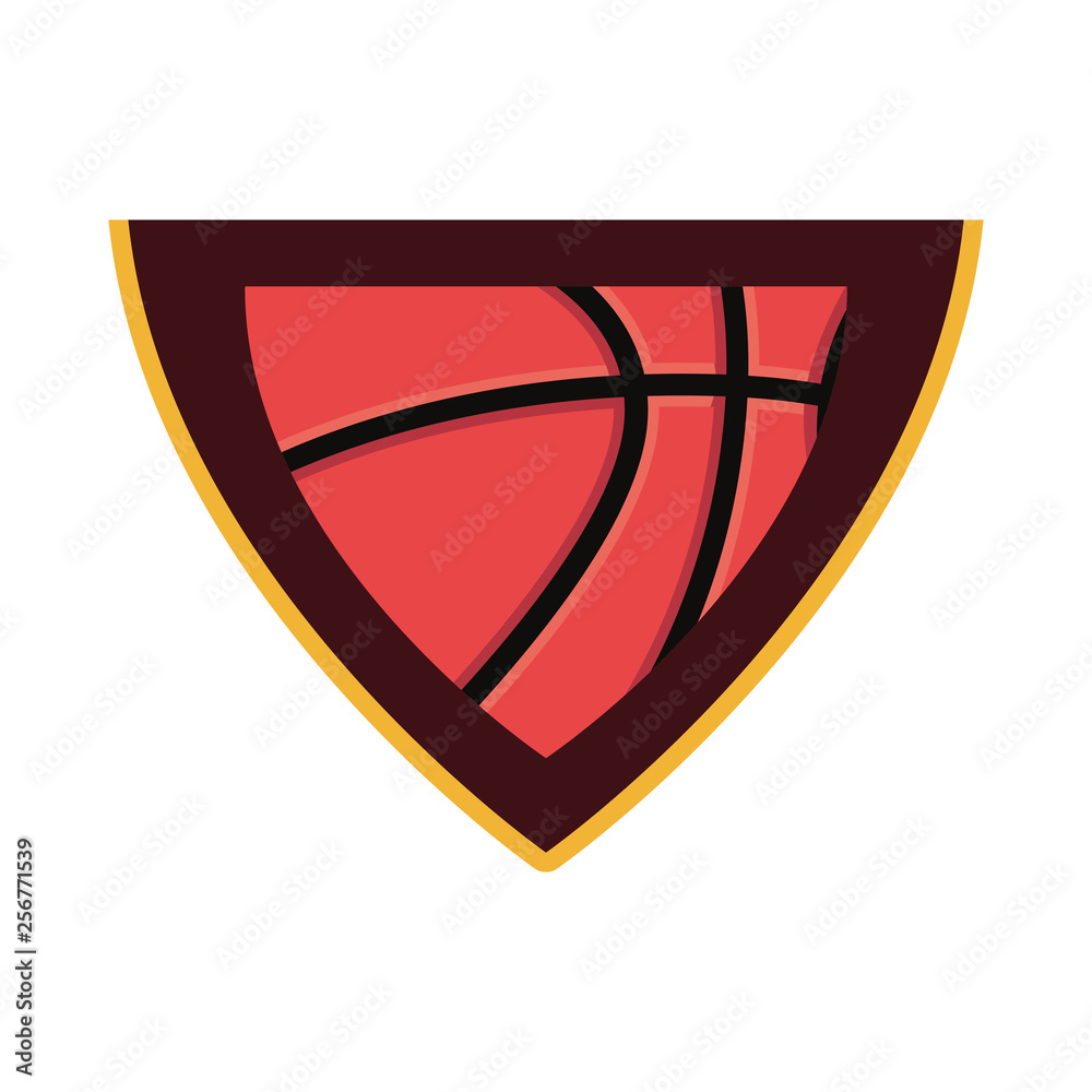 basketball sport design
