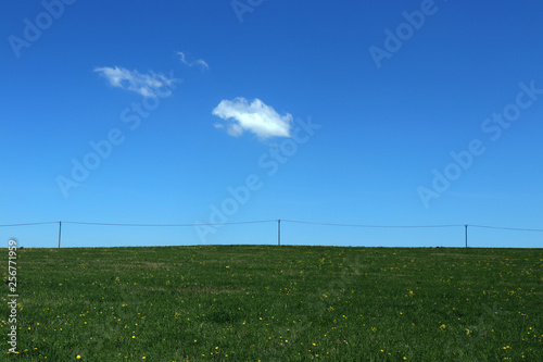Power line in a green field and blue sky with clouds.