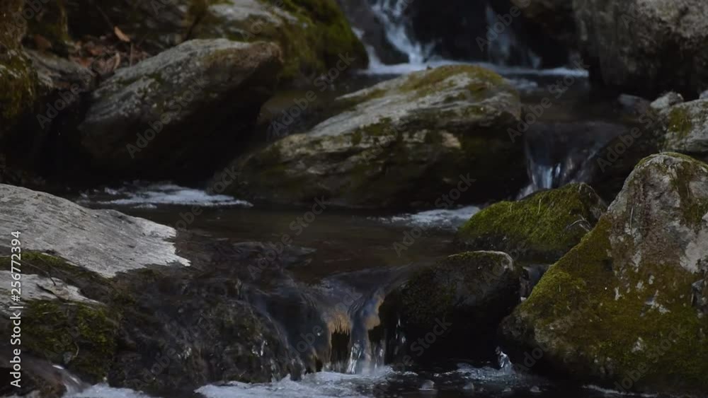 Stones and rocks covered by moss along the stream flowing through the green summer forest