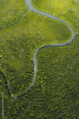 View from above, stunning aerial view of a traditional long tail boat that sails on a serpentine river flowing through a green tropical forest. Krabi, Thailand.