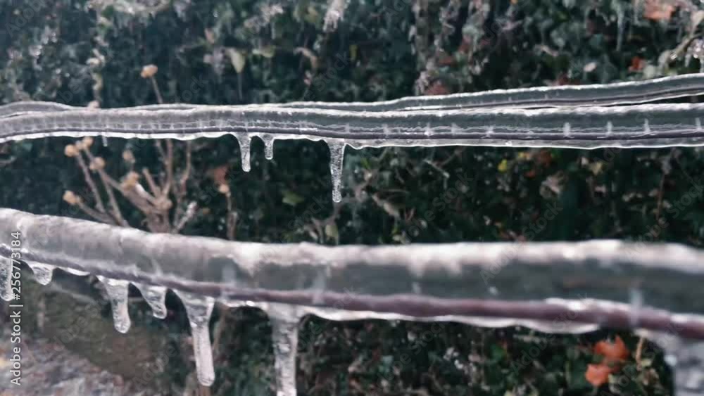 Frozen Nature/Wires after Blizzard Frozen Nature/Wires after Blizzard