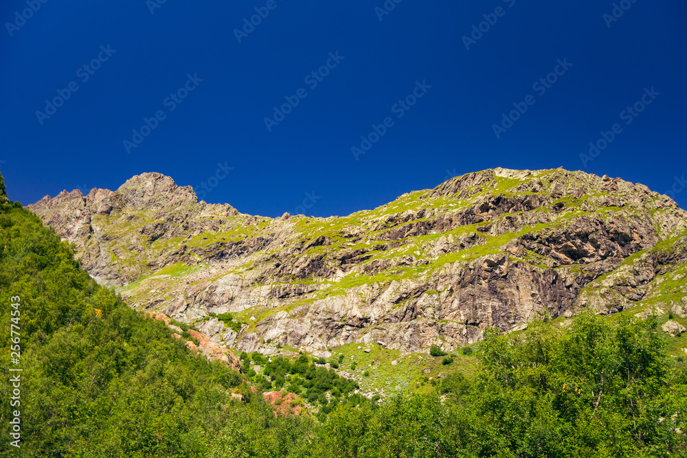 Fototapeta premium Peaks of mountains in the neighborhood of Dombai. Caucasus Mountains summer, clear day from the forest.