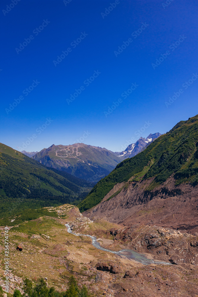 Alpine river in the valley of mountains in the surroundings of Dombai. Caucasus Mountains summer, clear day from the forest.