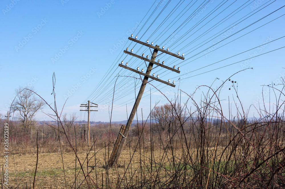 The falling electric pole in the field with the dried grass and prickly bushes. The inclined pole is held by wires. Irresponsible relation to economic problems. Mountains and  blue sky far away