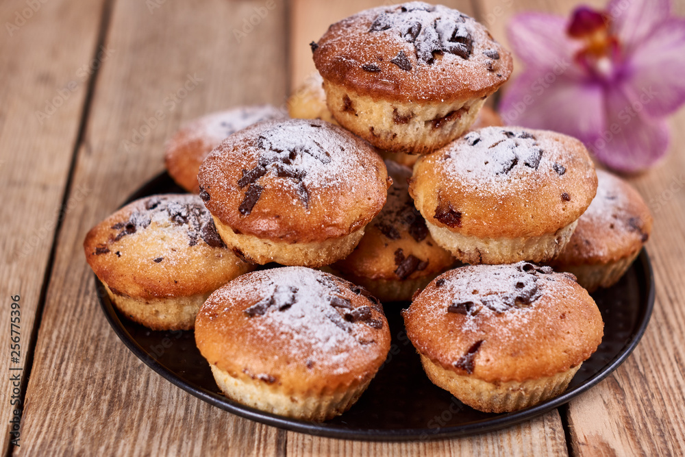 Cupcakes with chocolate chips with powdered sugar lie in a black baking sheet next to the orchid flower on a wooden background.