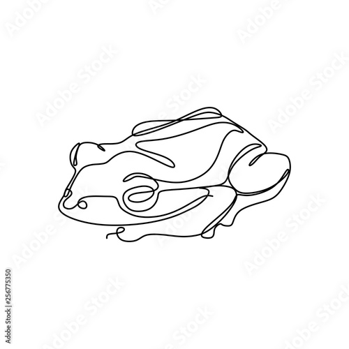 Continuous line drawing of ...
