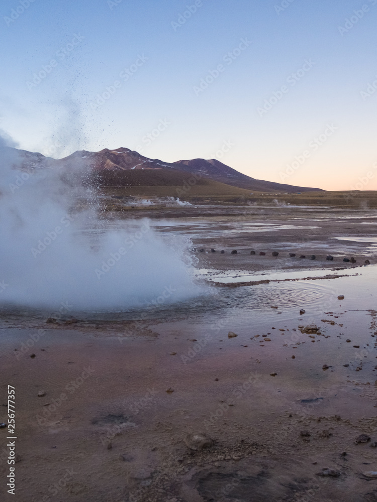 Atacama geysers (del Tatio) emitting steam in the early morning hours