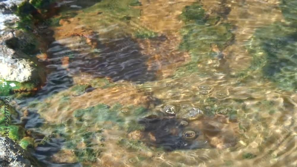 Caucasus. Ossetia. Gorge Genaldon. Hot mineral springs. Caucasus. Ossetia. Gorge Genaldon. Hot mineral springs.