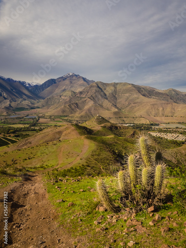 Cactus, mountains and valleys near Vicuña Vicuna city. Elqui Valley in Chile photo