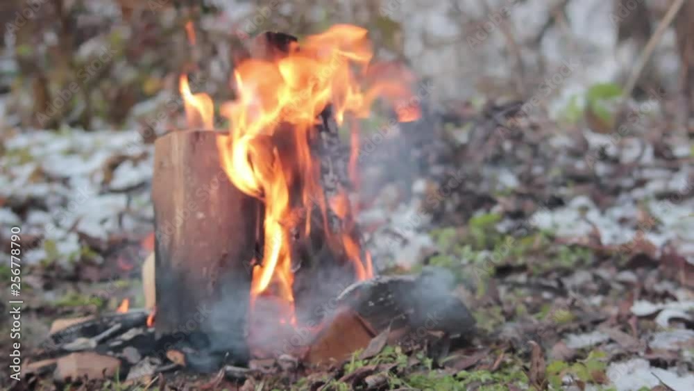 Outdoor Forest Campfire and crackling logs Outdoor Forest Campfire and crackling logs