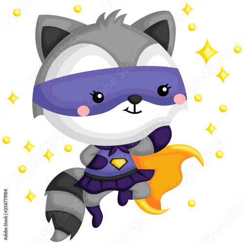 Raccoon Superhero