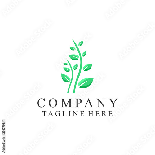 leaf logo design