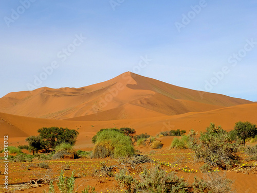 Dune, Sand, Desert, Windhoek, Namibia, Africa