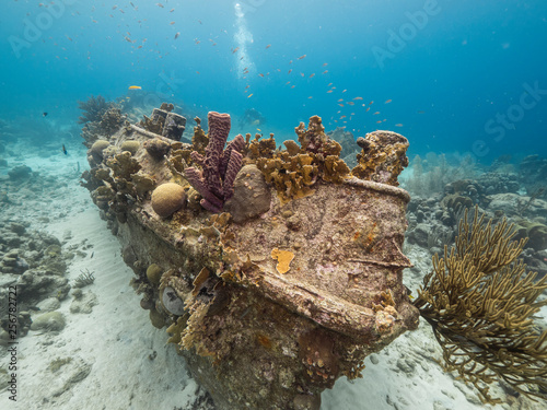 Fototapeta Naklejka Na Ścianę i Meble -  Ship wreck 