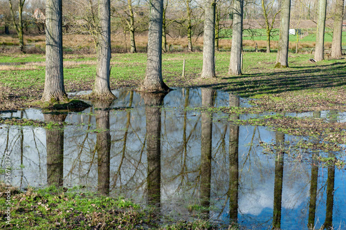 Flooded Wetlands in East-Flanders photo