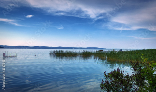 A tranquil scene at the Balaton lake, Hungary. Calm water, some green water grass, a few benches in the water, two swans, blue sky with some clouds, water reflections.