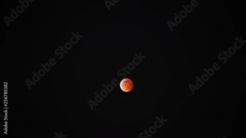  Total Lunar Eclipse 2019 Super Blood Wolf Moon 07 photo