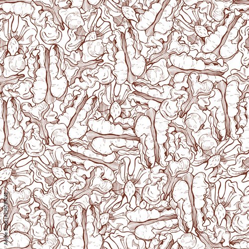 Hand drawn nuts.Walnut. Vector  seamless pattern