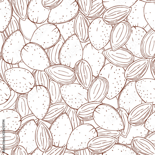 Hand drawn nuts. Almond. Vector  seamless pattern