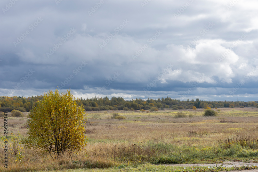 Strip of temperate climate Strip of temperate climate